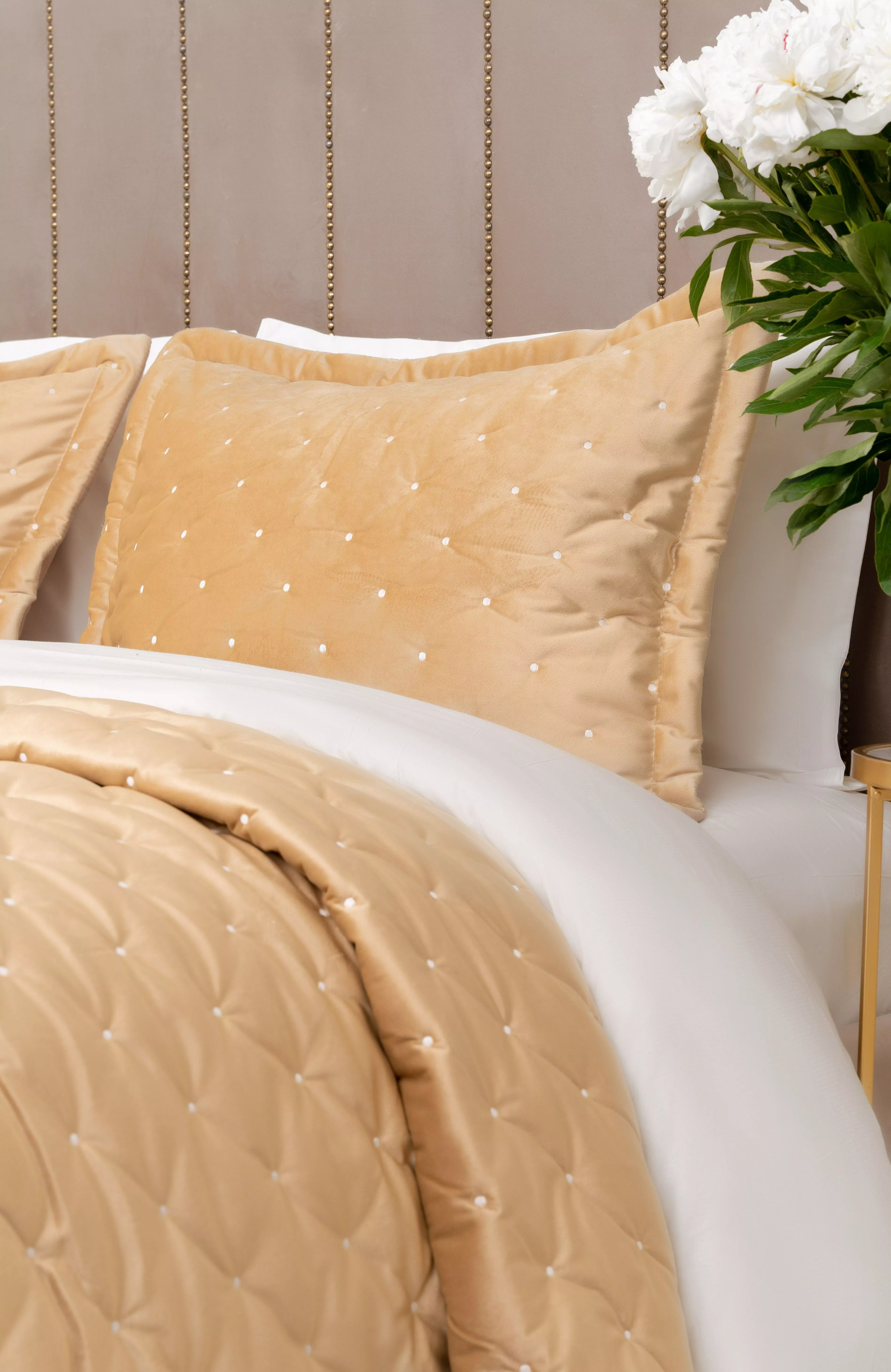 Политехникалық студенттер порно Азиялық порно бірінші рет анал